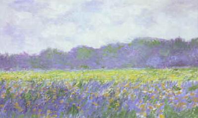 Claude Monet Field of Yellow Iris at Giverny France oil painting art
